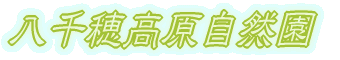 䍂R 